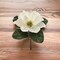 Real Touch White Magnolia Pick: Set of 12, 12-Inch, 5&#x22; Wide by Floral Home&#xAE;